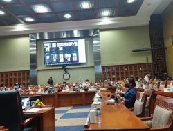 Anggota DPR RI Ratu Wula Minta Pemerintah Untuk Tingkatkan Imunisasi Lewat Pelayanan Posyandu